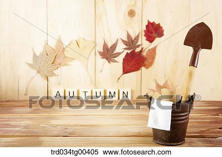 Autumn With Fallen Leaves View Large Photo Image Stock Photography - Autumn With Fallen Leaves. Fotosearch
