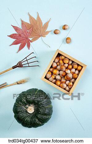 Autumn With Harvested Crops View Large Photo Image Stock Photo - Autumn With Harvested Crops. Fotosearch