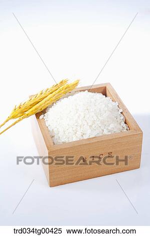 Autumn Wth Basket Of Newly Harvested Rice View Large Photo Image Stock Photography - Autumn Wth Basket Of Newly Harvested Rice. Fotosearch