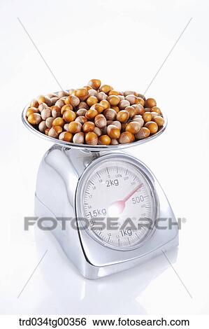 Stock Photograph - Bunch Of Acorns On A Scale . Fotosearch