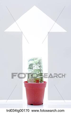 crumpled money bills in flower pot and arrow sign View Large Photo Image Stock Image - crumpled money bills in flower pot and arrow sign. Fotosearch