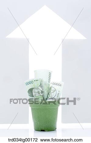 crumpled money bills in flower pot and arrow sign View Large Photo Image Stock Image - crumpled money bills in flower pot and arrow sign. Fotosearch