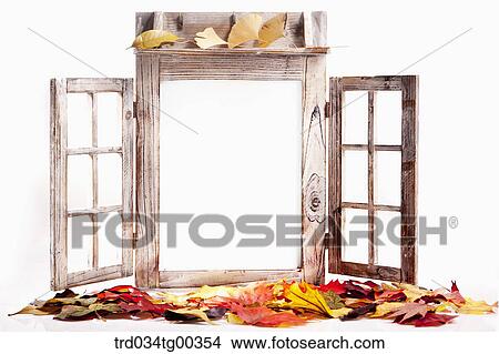 Fallen Leaves And A Window View Large Photo Image Picture - Fallen Leaves And A Window. Fotosearch