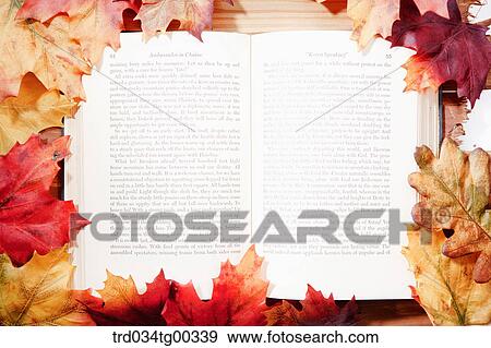 Fallen Leaves And An Open Book View Large Photo Image Stock Photo - Fallen Leaves And An Open Book. Fotosearch