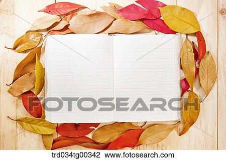 Fallen Leaves And An Open Note Book View Large Photo Image Stock Image - Fallen Leaves And An Open Note Book. Fotosearch
