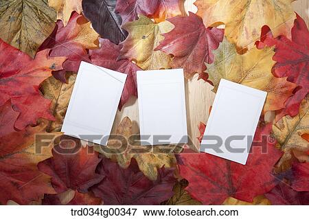 Stock Photo - Fallen Leaves And White Papers. Fotosearch