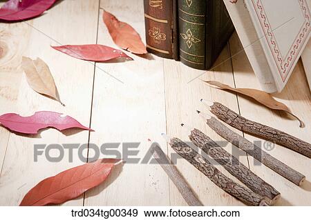 Fallen Leaves And Wooden Pencils View Large Photo Image Stock Photo - Fallen Leaves And Wooden Pencils. Fotosearch