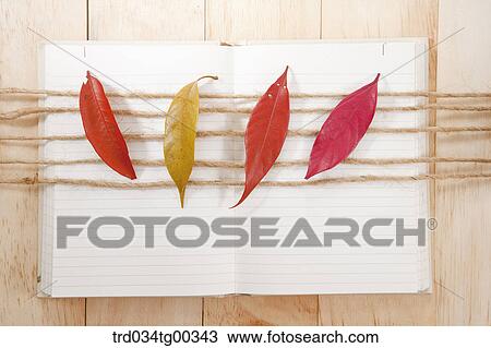 Fallen Leaves On Strings On Top Of An Open Note Book View Large Photo Image Stock Image - Fallen Leaves On Strings On Top Of An Open Note Book. Fotosearch