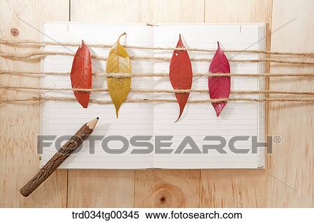 Fallen Leaves On Strings On Top Of An Open Note Book And A Pencil View Large Photo Image Stock Photography - Fallen Leaves On Strings On Top Of An Open Note Book And A Pencil. Fotosearch