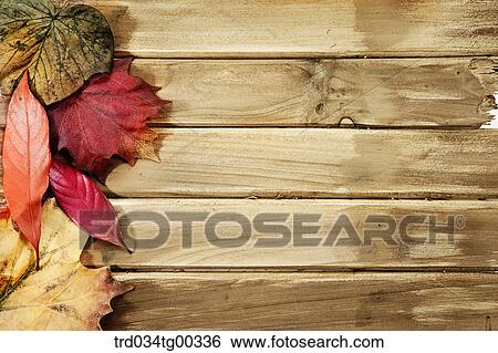 Fallen Leaves On Wooden Surface View Large Photo Image Stock Photograph - Fallen Leaves On Wooden Surface. Fotosearch