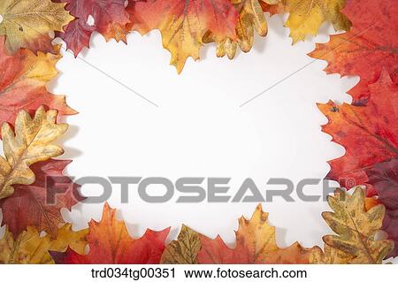 Fallen Leaves View Large Photo Image Stock Image - Fallen Leaves. Fotosearch