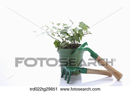 flower pot and hooks View Large Photo Image Stock Image - flower pot and hooks. Fotosearch