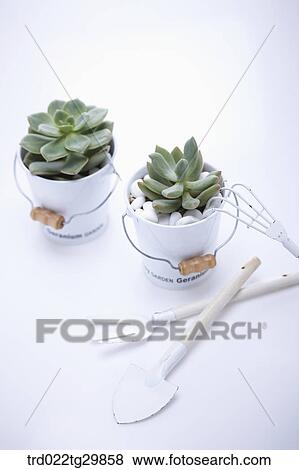 flower pots with gardening tools View Large Photo Image Stock Photo - flower pots with gardening tools. Fotosearch