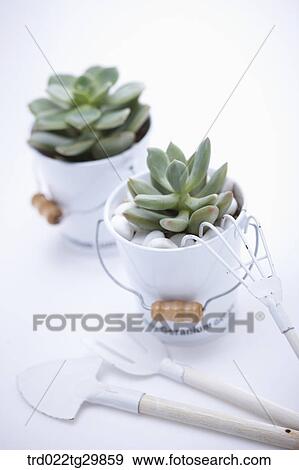 flower pots with gardening tools View Large Photo Image Stock Photo - flower pots with gardening tools. Fotosearch