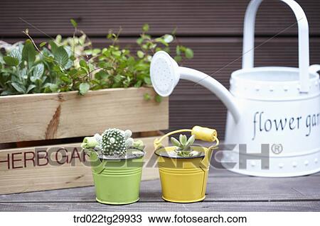 Stock Image - herbs in flower pot and watering can. Fotosearch