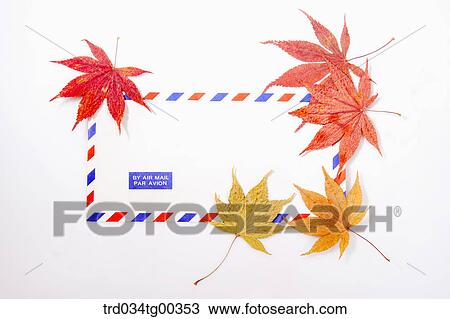 Stock Image - Maple Leaves And An Air Mail. Fotosearch