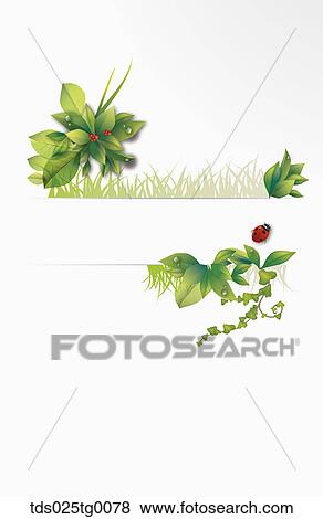 Memo With Green Leaves And A Ladybug View Large Photo Image Stock Photo - Memo With Green Leaves And A Ladybug. Fotosearch