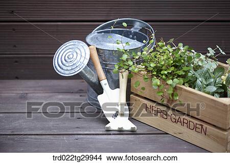plant in flower pots and gardening tools View Large Photo Image Picture - plant in flower pots and gardening tools. Fotosearch