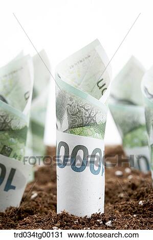 rolled money bills in the dirt View Large Photo Image Stock Image - rolled money bills in the dirt. Fotosearch