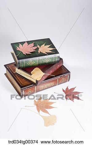 Stack Of Books With Fallen Leaves View Large Photo Image Picture - Stack Of Books With Fallen Leaves. Fotosearch