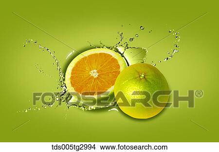 The lime with green background View Large Photo Image Picture - The lime with green background. Fotosearch