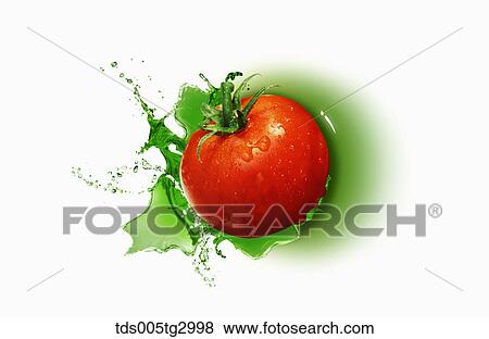 Stock Photo - The tomato with white background. Fotosearch