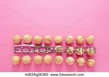Stock Photography - Walnuts And A Nutcracker In Rows. Fotosearch