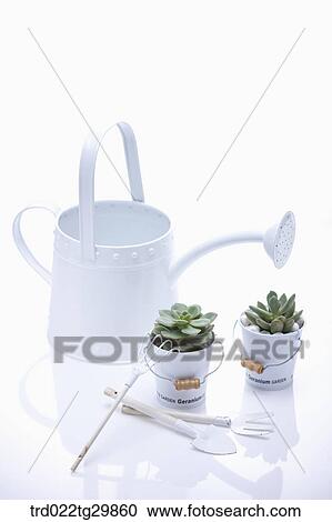 Stock Image - watering can and flower pots with gardening tools. Fotosearch