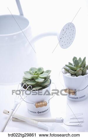 watering can and flower pots with gardening tools View Large Photo Image Stock Image - watering can and flower pots with gardening tools. Fotosearch