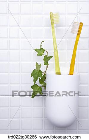 Yellow and orange tooth brushes in a white cup View Large Photo Image Stock Photograph - Yellow and orange tooth brushes in a white cup . Fotosearch