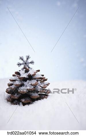 A pine cone tree on the snow View Large Photo Image Picture - A pine cone tree on the snow. Fotosearch