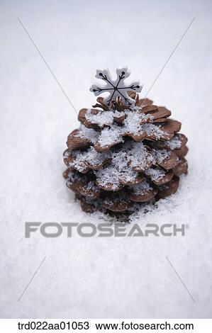 A pine cone tree on the snow View Large Photo Image Stock Image - A pine cone tree on the snow. Fotosearch