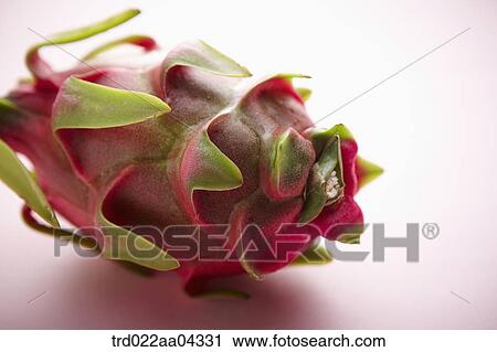 The dragon fruit with the pink background View Large Photo Image Stock Image - The dragon fruit with the pink background. Fotosearch