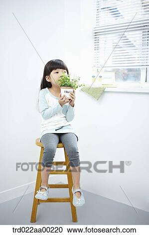 The girl holding the green plant pot on the chair View Large Photo Image Stock Image - The girl holding the green plant pot on the chair. Fotosearch