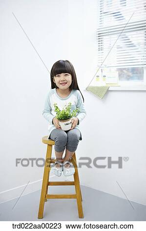 The girl holding the green plant pot on the chair View Large Photo Image Stock Image - The girl holding the green plant pot on the chair. Fotosearch