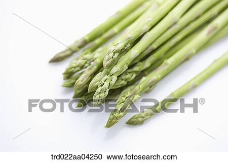 Stock Image - The green asparagus . Fotosearch