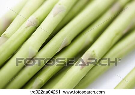 The green asparagus View Large Photo Image Stock Image - The green asparagus . Fotosearch