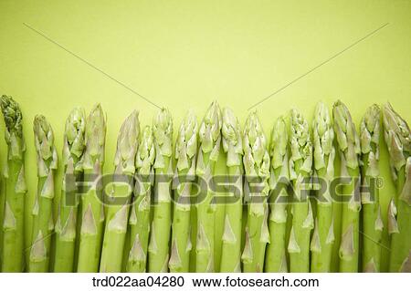The green asparagus with the green background View Large Photo Image Stock Image - The green asparagus with the green background. Fotosearch