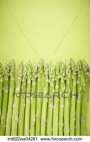 The green asparagus with the green background View Large Photo Image Stock Image - The green asparagus with the green background. Fotosearch