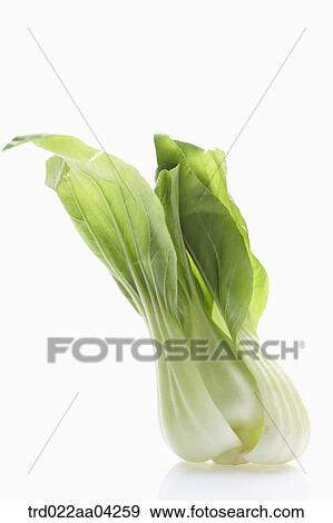 Stock Photo - The green bok choy. Fotosearch