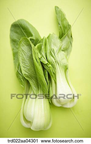 Stock Image - The green bok choy with the green background. Fotosearch