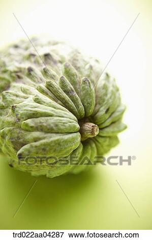 The green sugar apple lied on the green table View Large Photo Image Stock Photo - The green sugar apple lied on the green table. Fotosearch