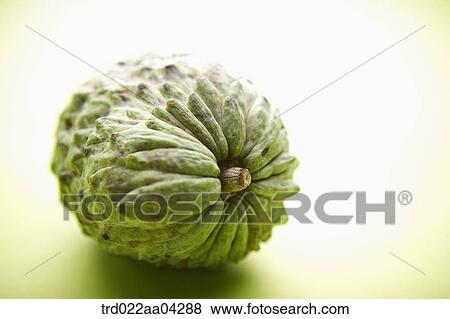 Stock Photo - The green sugar apple lied on the green table. Fotosearch