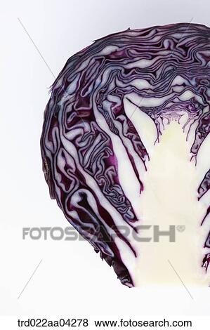 The red cabbage in half View Large Photo Image Stock Photo - The red cabbage in half. Fotosearch