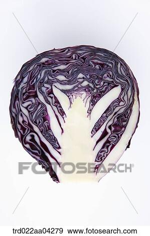 The red cabbage in half View Large Photo Image Stock Photo - The red cabbage in half. Fotosearch