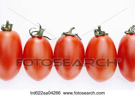 The red cherry tomatoes View Large Photo Image Stock Photograph - The red cherry tomatoes. Fotosearch
