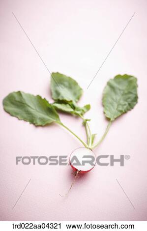 The red turnip in half and green leaves with the pink background View Large Photo Image Stock Image - The red turnip in half and green leaves with the pink background. Fotosearch