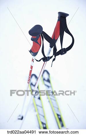 The ski poles and the ski boards on the snow View Large Photo Image Stock Image - The ski poles and the ski boards on the snow. Fotosearch
