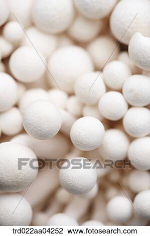 Stock Image - The white winter mushroom . Fotosearch