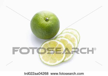 The whole lime and the slices of lime View Large Photo Image Stock Photo - The whole lime and the slices of lime. Fotosearch